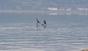 Sapanca Gölü'nde su seviyesi son yağışlarla 8 santimetre arttı