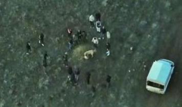 Köpek dövüştüren şahıslar drone kameralarında yakalandı