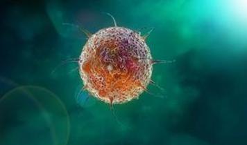 Grip virüsüyle ilgili gerçekler! Bilim insanlarının otel odası deneyi sonuçsuz kaldı