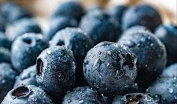 Yaban mersinini tahtından eden süper gıdalar hangileri?