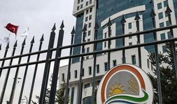 Esaslar yeniden düzenlendi: 21 ilde kenevir üretimi yapılabilecek