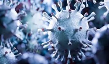 Küresel salgın riski! Hayvan virüsleri insanlara geçebilir mi?