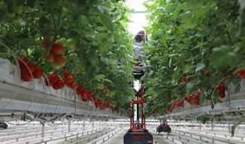 IPARD-III kapsamında 214 projeye 1,7 milyar lira hibe verilecek