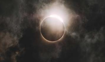 Güneş tutulması hayvan davranışlarını nasıl etkiliyor?