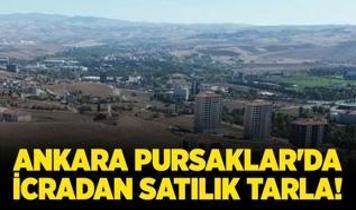 Ankara Pursaklar'da icradan satılık tarla!
