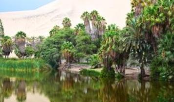 Çölün ortasında kayıp şehirler! Suudi Arabistan'daki duvarlı vahaların sırrı ne?