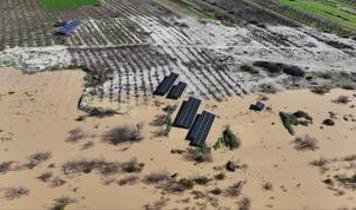 Mersin'deki Göksu Irmağı'nın artan debisi tarım alanlarına zarar verdi