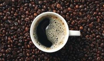 Kahve üreticileri iklim değişikliğiyle mücadele ediyor