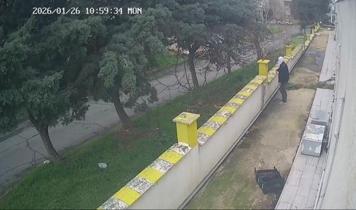 Arnavutköy'deki kayıp dosyası cinayetle sonuçlandı: Kamera kayıtları zanlıyı ele verdi