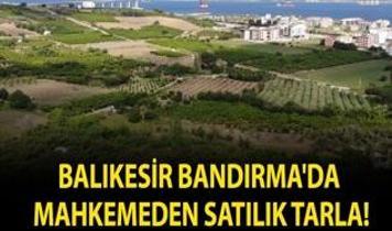 Balıkesir Bandırma'da mahkemeden satılık tarla!