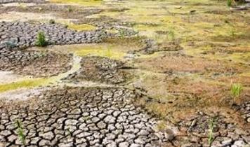 Uzmanlardan acil uyarı! Biyolojik çeşitlilik azalıyor