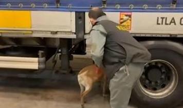 75 ilde dev narkotik operasyonu: 958 kilo uyuşturucu, 1 milyondan fazla hap ele geçirildi