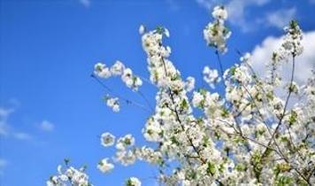 3. cemre toprağa düştü mü, ne zaman düşüyor? 2026 havalar ne zaman ısınacak?