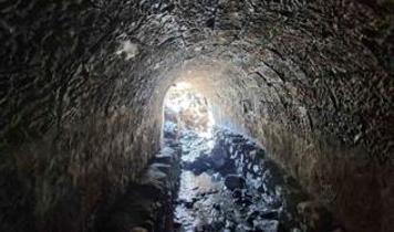 Türkiye'de başka bir örneği bulunmuyor! Trabzon'da su kanalında ortaya çıktı