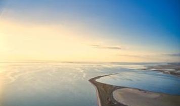 Büyük Tuz Gölü'nde gizemli keşif! Bilim insanları yeni hayvan türü buldu