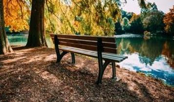 Sadece bir bankta oturmakla bile bulaşabiliyor! Özellikler çocuklar risk altında