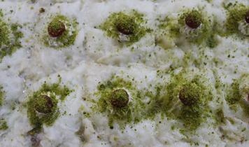 Ustasından Ramazan sofralarının vazgeçilmezi güllaç yapımının püf noktaları