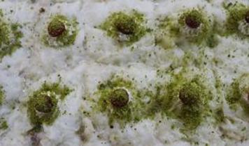 Ustasından Ramazan sofralarının vazgeçilmezi güllaç yapımının püf noktaları