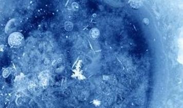 56 milyon yıl öncesine benzer tehlike! Korkutan uyar