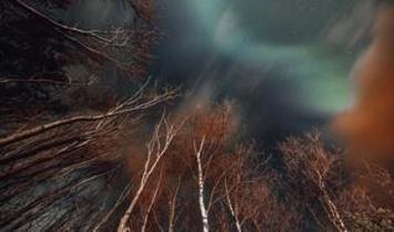 ABD'de 41 kez kaydedildi! Ağaçların fırtınada yaydığı koro ışığı şaşırttı