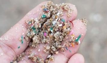 Antarktika bile mikroplastikten etkileniyor! Küresel alarm