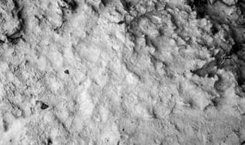 Ay toprağında nohut yetiştirdiler! Tarımda yeni dönem