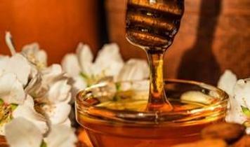 Her gün bal yerseniz vücudunuzda neler olur? Sonuçlar şaşırtıcı