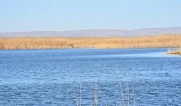 Sıfır Atık Vakfı, Eber Gölü için hazırlanacak eylem planına katkı sağlayacak