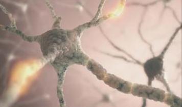 Her üç kişiden biri bu paraziti taşıyor olabilir