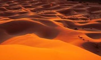 Bilim insanlarından Sahra çölü için kritik çağrı! Güneş paneli yerine alternatif enerjiye yönelin