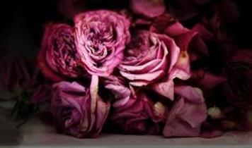 Uzmanlar uyardı! Solmuş çiçekler alerji ve astım riskini artırıyor