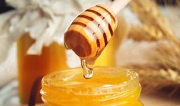 Amerikan balında radyoaktif sezyum-137 tespit edildi! Bilim insanları uyarıyor