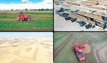 Tarımda yeni dönem! Resmi Gazete'de yayımlandı