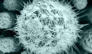 Uzayda yetiştirilen virüsler Dünya'daki enfeksiyonlara karşı yeni bir çağ başlatıyor