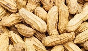 Fıstık kabuğu atıklarına devrim niteliğinde çözüm