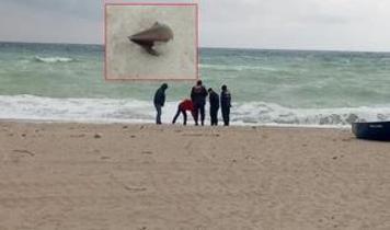 İstanbul'da ilginç görüntü... Sahilde füze başlığı bulundu