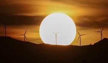 Dünyada 2025'te devreye giren güneş ve rüzgar enerjisi kapasitesi rekor kırdı