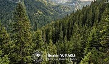 Bakan Yumaklı, Dünya Ormancılık Günü ve Orman Haftası'nı kutladı