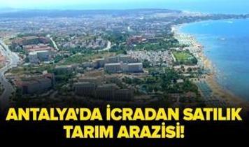 Antalya Manavgat'ta icradan satılık tarım arazisi!