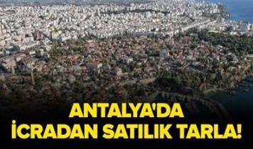 Antalya'da icradan satılık 1.811 metrekare tarla!