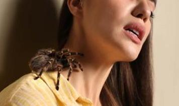 Örümcek korkusunun sırrı ortaya çıktı! Bilim insanları açıkladı