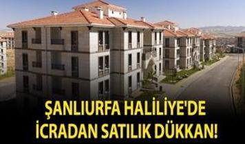 Şanlıurfa Haliliye'de icradan satılık dükkan!