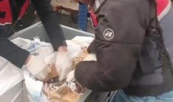 Sosyal medya üzerinden uyuşturucu satanlara yönelik operasyonlarda 99 şüpheli tutuklandı