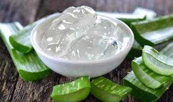 Aloe vera yağı ile cilt bakımında yeni dönem
