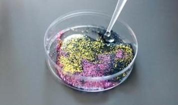 Bilim insanları itiraf etti! Mikroplastik ölçümlerinde büyük hata ortaya çıktı!