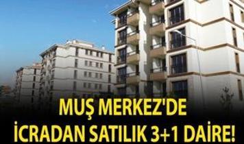 Muş Merkez'de icradan satılık 3+1 daire!