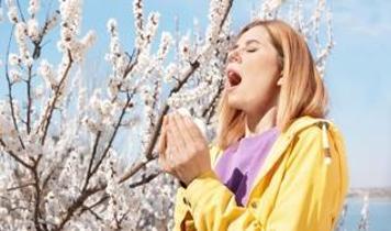 Polen sezonu her yıl neden daha uzun sürüyor?