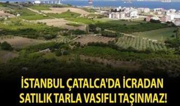 İstanbul Çatalca'da icradan satılık tarla vasıflı taşınmaz!