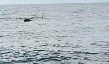 MSB: İğneada açıklarında mayın imha edildi