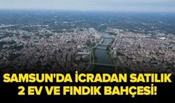 Samsun Çarşamba'da icradan satılık 2 ev ve fındık bahçesi!